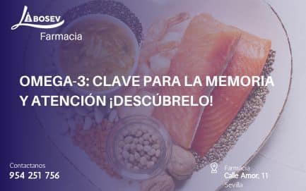 Omega-3: Clave para la Memoria y Atención ¡Descúbrelo!