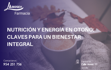 Nutrición y Energía en Otoño: Claves para un Bienestar Integral